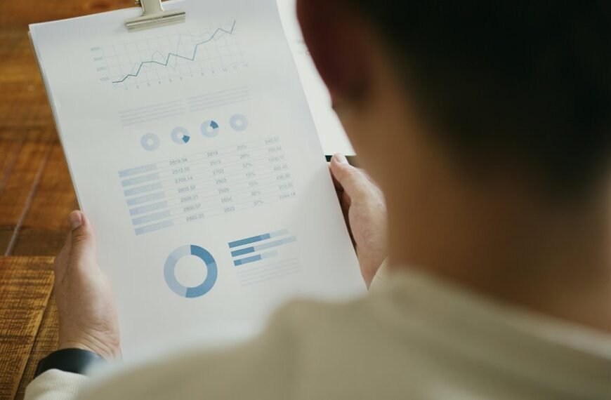 project summary of identifiers